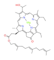 bacteriochlorophyll d