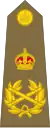 Field Marshal