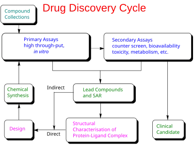 Drug discovery cycle schematic