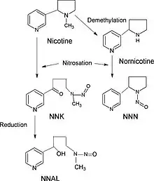 Endogenous formation of tobacco-specific nitrosamines (TSNAs) may occur after absorption of nicotine.
