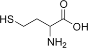 Skeletal formula