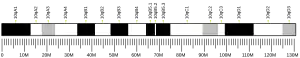 Chromosome 10 (mouse)
