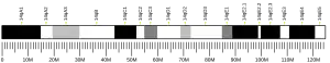 Chromosome 14 (mouse)