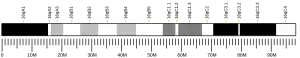 Chromosome 16 (mouse)