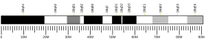 Chromosome 18 (mouse)