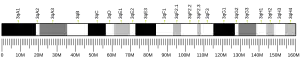 Chromosome 3 (mouse)