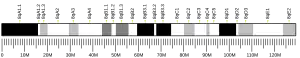 Chromosome 8 (mouse)
