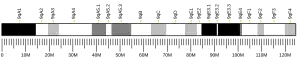 Chromosome 9 (mouse)