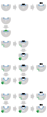 schematic diagram of the three types of reversible inhibitors