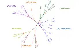The evolutionary history was inferred by using the Maximum Likelihood method based on the JTT matrix-based model [1]. The bootstrap consensus tree inferred from 100 replicates is taken to represent the evolutionary history of the taxa analyzed. Branches corresponding to partitions reproduced in less than 50% bootstrap replicates are collapsed. The percentage of replicate trees in which the associated taxa clustered together in the bootstrap test (100 replicates) are shown by the size of red node on each brach. Initial tree(s) for the heuristic search were obtained automatically by applying Neighbor-Join and BioNJ algorithms to a matrix of pairwise distances estimated using a JTT model, and then selecting the topology with superior log likelihood value. The analysis involved 26 amino acid sequences. There were a total of 2599 positions in the final dataset. Evolutionary analyses were conducted in MEGA7.