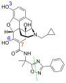 Minor metabolites: blue are glucuronidation sites, brown is the hydroxylation site, and green the cleavage site