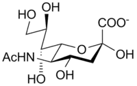 N-acetylneuraminic acid