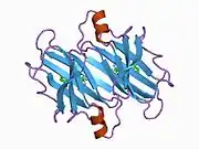 1bm7: HUMAN TRANSTHYRETIN (PREALBUMIN) COMPLEX WITH FLUFENAMIC ACID (2-3-(TRIFLUOROMETHYL)PHENYL AMINO BENZOIC ACID)
