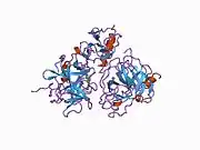 1bui: STRUCTURE OF THE TERNARY MICROPLASMIN-STAPHYLOKINASE-MICROPLASMIN COMPLEX: A PROTEINASE-COFACTOR-SUBSTRATE COMPLEX IN ACTION.
