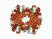 1c7c: DEOXY RHB1.1 (RECOMBINANT HEMOGLOBIN)