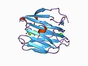 1d2s: CRYSTAL STRUCTURE OF THE N-TERMINAL LAMININ G-LIKE DOMAIN OF SHBG IN COMPLEX WITH DIHYDROTESTOSTERONE