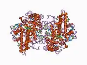 1d2v: CRYSTAL STRUCTURE OF BROMIDE-BOUND HUMAN MYELOPEROXIDASE ISOFORM C AT PH 5.5