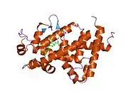 1db1: CRYSTAL STRUCTURE OF THE NUCLEAR RECEPTOR FOR VITAMIN D COMPLEXED TO VITAMIN D
