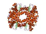 1dxt: HIGH-RESOLUTION X-RAY STUDY OF DEOXY RECOMBINANT HUMAN HEMOGLOBINS SYNTHESIZED FROM BETA-GLOBINS HAVING MUTATED AMINO TERMINI