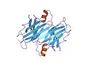 1e5a: STRUCTURE OF HUMAN TRANSTHYRETIN COMPLEXED WITH BROMOPHENOLS: A NEW MODE OF BINDING