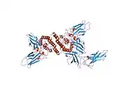 1fg9: 3:1 COMPLEX OF INTERFERON-GAMMA RECEPTOR WITH INTERFERON-GAMMA DIMER