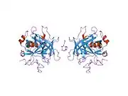 1hlt: THE STRUCTURE OF A NONADECAPEPTIDE OF THE FIFTH EGF DOMAIN OF THROMBOMODULIN COMPLEXED WITH THROMBIN