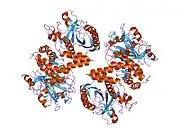 1hyn: CRYSTAL STRUCTURE OF THE CYTOPLASMIC DOMAIN OF HUMAN ERYTHROCYTE BAND-3 PROTEIN