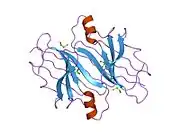 1ijn: Crystal structure of the transthyretin mutant TTR C10A/Y114C