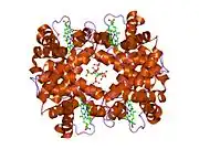 1nih: Structure of deoxy-quaternary haemoglobin with liganded beta subunits