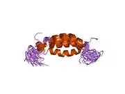 1opp: PEPTIDE OF HUMAN APOLIPOPROTEIN C-I RESIDUES 1-38, NMR, 28 STRUCTURES