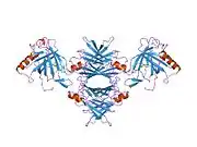 1rlb: RETINOL BINDING PROTEIN COMPLEXED WITH TRANSTHYRETIN