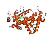 1s19: Crystal structure of VDR ligand binding domain complexed to calcipotriol.