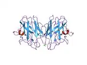 1spd: AMYOTROPHIC LATERAL SCLEROSIS AND STRUCTURAL DEFECTS IN CU,ZN SUPEROXIDE DISMUTASE
