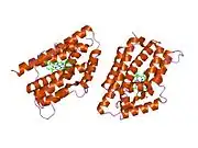 1t5p: Human Heme Oxygenase Oxidation of alpha- and gamma-meso-phenylhemes