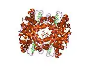 1thb: REFINEMENT OF A PARTIALLY OXYGENATED T STATE HAEMOGLOBIN AT 1.5 ANGSTROMS RESOLUTION