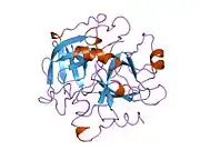 1thp: STRUCTURE OF HUMAN ALPHA-THROMBIN Y225P MUTANT BOUND TO D-PHE-PRO-ARG-CHLOROMETHYLKETONE