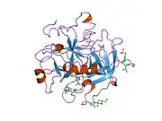 1uma: ALPHA-THROMBIN (HIRUGEN) COMPLEXED WITH NA-(N,N-DIMETHYLCARBAMOYL)-ALPHA-AZALYSINE