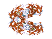1z10: Crystal Structure of Human Microsomal P450 2A6 with Coumarin Bound