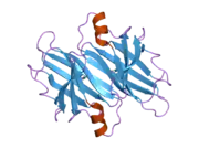 2b16: The crystal structure of 2,4-dinitrophenol in complex with the amyloidogenic variant Transthyretin Tyr78Phe