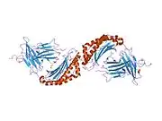 2bck: Crystal Structure of HLA-A*2402 Complexed with a telomerase peptide