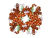 2d60: Crystal structure of deoxy human hemoglobin complexed with two L35 molecules
