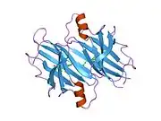 2flm: Human transthyretin (TTR) complexed with bivalant amyloid inhibitor (6 carbon linker)