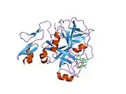 2g00: Factor Xa in complex with the inhibitor 3-(6-(2'-((dimethylamino)methyl)-4-biphenylyl)-7-oxo-3-(trifluoromethyl)-4,5,6,7-tetrahydro-1H-pyrazolo[3,4-c]pyridin-1-yl)benzamide