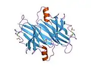 2h4e: Crystal structure of Cys10 sulfonated transthyretin