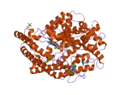 2iux: HUMAN TACE MUTANT G1234