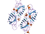 2nnx: Crystal Structure of the H46R, H48Q double mutant of human [Cu-Zn] Superoxide Dismutase