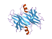 2noy: Crystal structure of transthyretin mutant I84S at PH 7.5