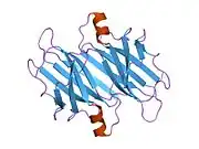 2pab: STRUCTURE OF PREALBUMIN, SECONDARY, TERTIARY AND QUATERNARY INTERACTIONS DETERMINED BY FOURIER REFINEMENT AT 1.8 ANGSTROMS