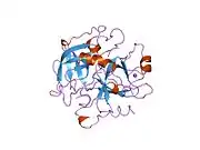 2thf: STRUCTURE OF HUMAN ALPHA-THROMBIN Y225F MUTANT BOUND TO D-PHE-PRO-ARG-CHLOROMETHYLKETONE