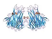 2tun: CONFORMATIONAL CHANGES IN THE (ALA-84-VAL) MUTANT OF TUMOR NECROSIS FACTOR